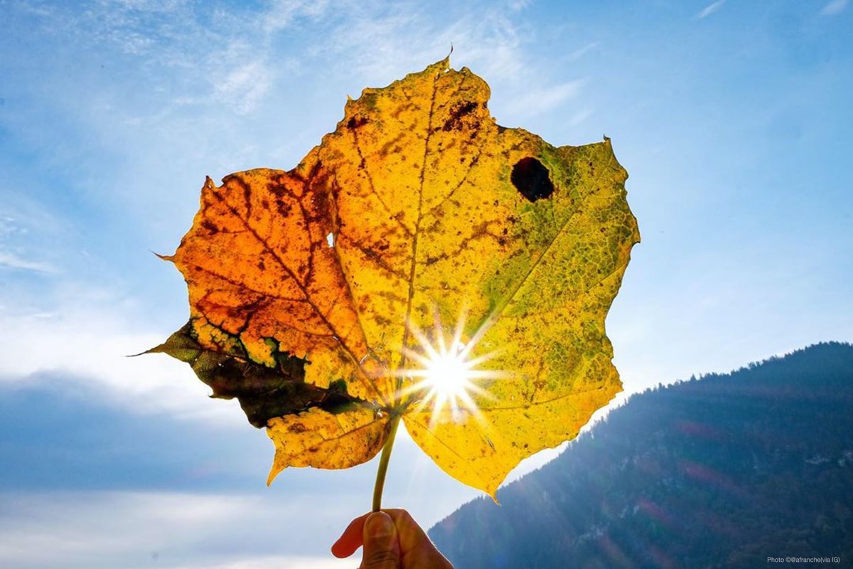 MySwitzerlandNL's tweet photo. Zo simpel, zo prachtig, #herfst! Bedankt voor jullie creatieve #Fanfoto’s #toeaanZwitserland

📍 @fribourgregion, @AdelbodenLenk, @ilovezug https://t.co/I3MltFkFhU