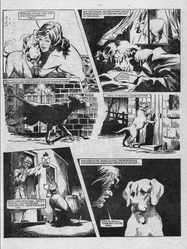 Misty also included a number of single stories, normally across three or four pages. The panel layout often emphasised the drama, lots of jagged edges and tightly framed images.