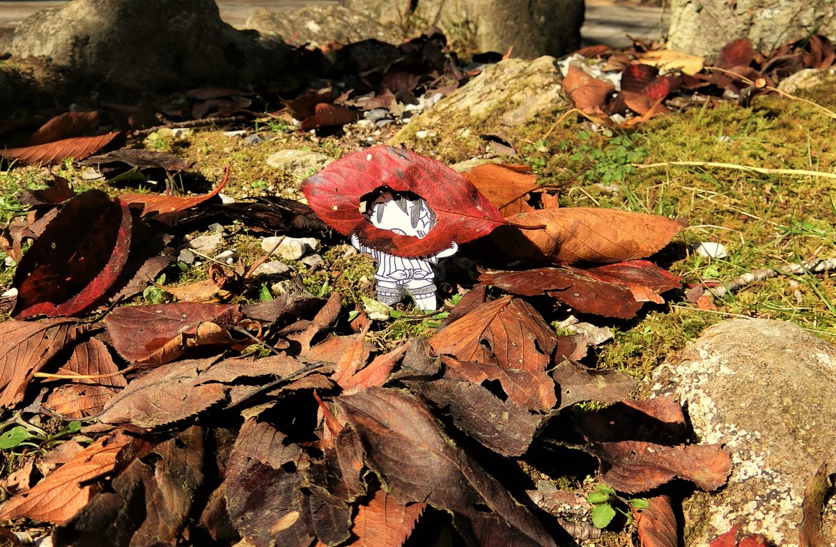 ホロライブ「ー スバルちゃん、紅葉を見に行く ー
 
紅葉になる頃だったのでスバルちゃんと一」|オクトパスプライム・アヒージョ🚑のイラスト