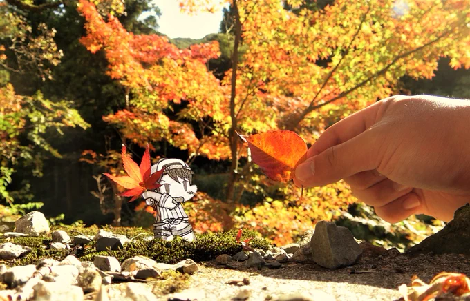 ー スバルちゃん、紅葉を見に行く ー
 
紅葉になる頃だったのでスバルちゃんと一緒に見てきました。

#プロテインザスバル 
#飛び出せホロライブ 