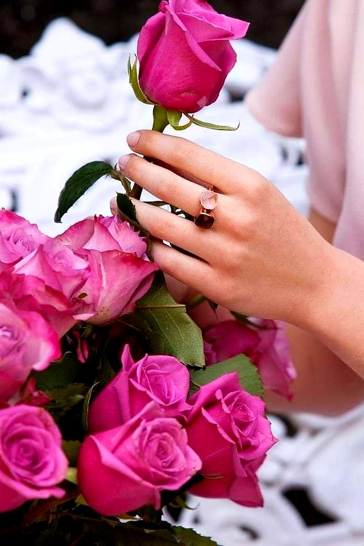 HamitKaraman9's tweet photo. #SEVGİLİ #GÜZEL #İZMİR #GEÇMİŞ #OLSUN #SİZİN #ACINIZ #BİZİM #ACIMIZ #TC #HALKLARI #YANINIZDA❤️
Mutlu sabahlar günaydın rojbaş arkadaşlar covid19 coronavürüsten korunmak devletin koyduğu kurallara uymak zorunlu uygun mesafe maske kullanmak ülkemiz ve dünya sağlığı için önemli ❤️ https://t.co/XFXnIKxmc3