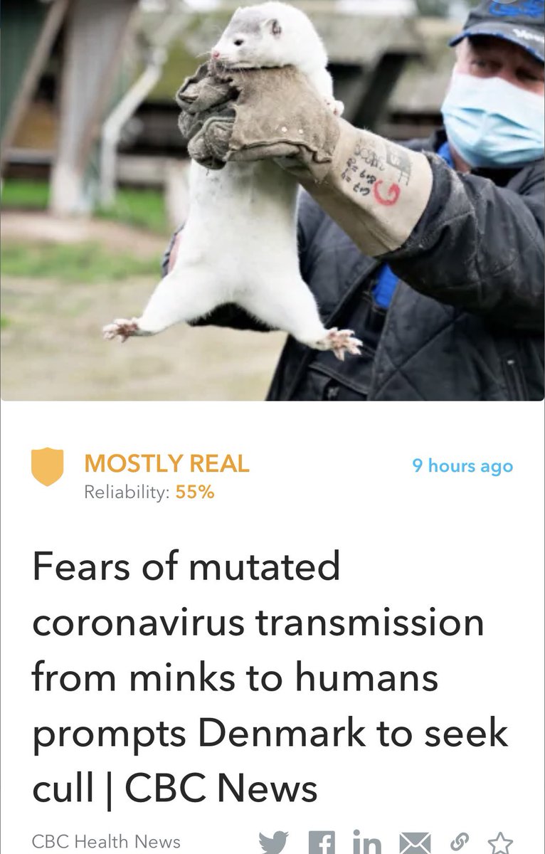 Oigetit_Health's tweet photo. Denmark’s prime minister tries to minimize the risk of the animals re-transmitting a mutated form of the coronavirus to humans.

Read more: https://t.co/MaW19rDvB8

#AnimalToHuman #coronavirus https://t.co/xm6jql9gQZ