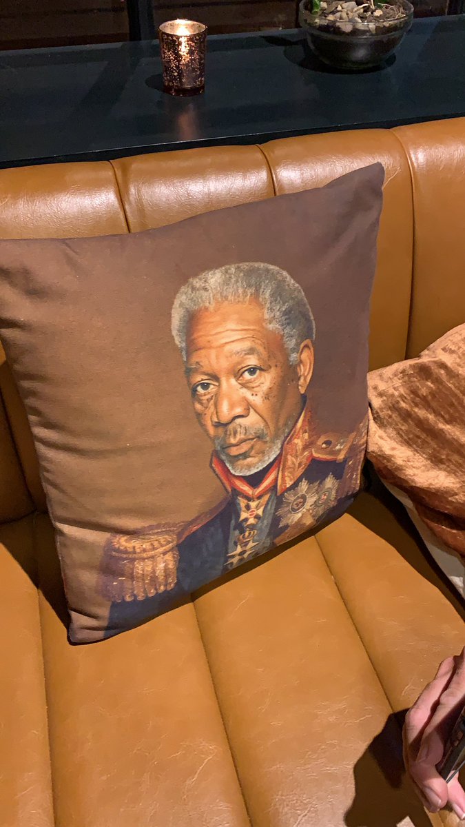 RRLIIICPA's tweet image. This is the greatest pillow I have ever seen