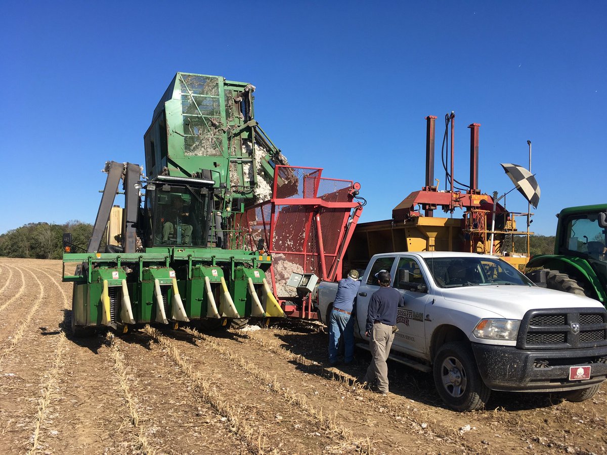 chrlstokes's tweet photo. Many thanks to Tishomingo Co. Extension Agent Zach Yow for helping us harvest an on-farm cotton variety trial today. @zachyow https://t.co/xvgTSRc1Tt