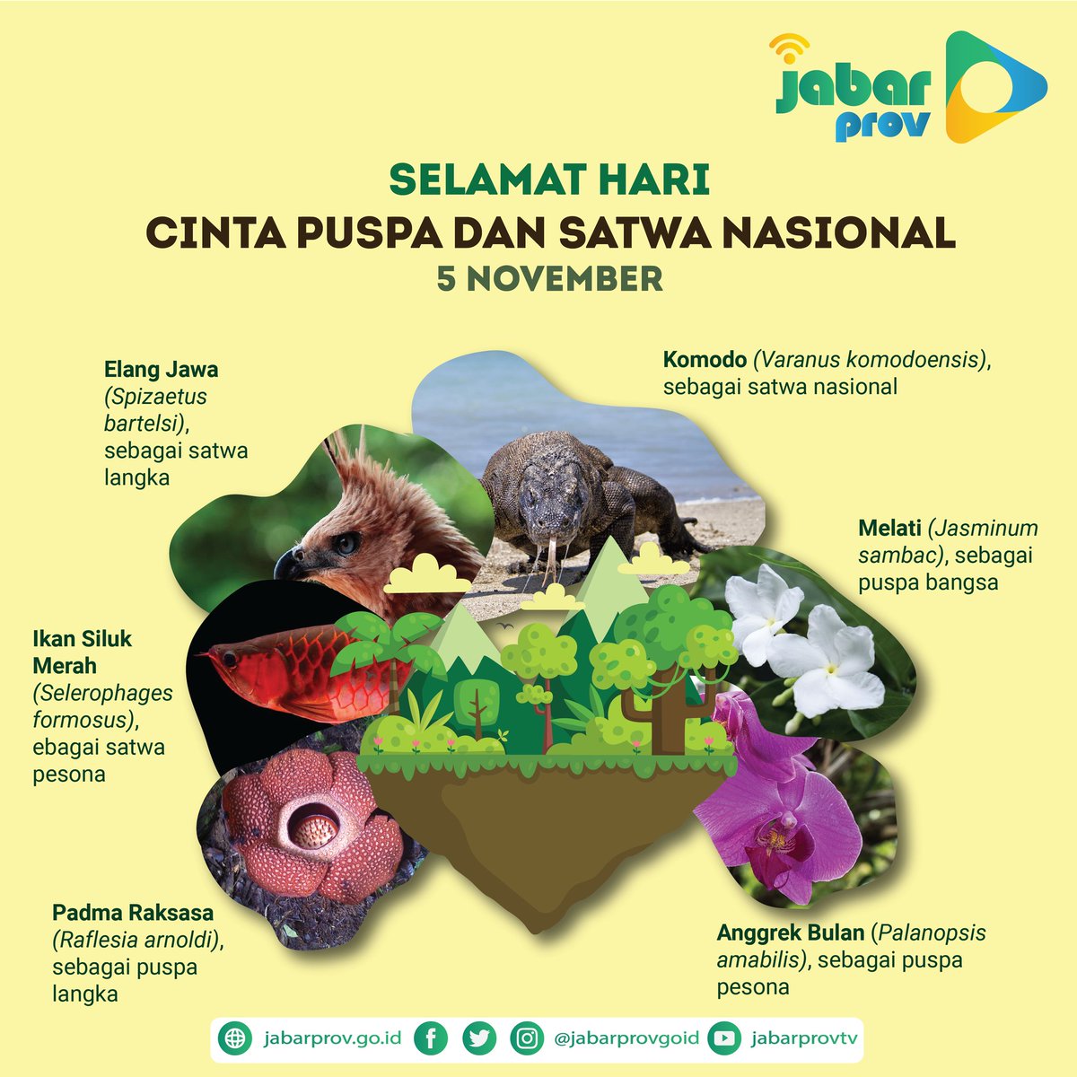 jabarprovgoid's tweet photo. Selamat Hari Cinta Puspa dan Satwa Nasional🙏

Semoga dengan adanya momentum ini, semakin meningkatkan kesadaran, kepedulian, dan kecintaan kita terhadap puspa dan satwa agar tetap terjaga kelestariannya https://t.co/VcZQkgzjvq