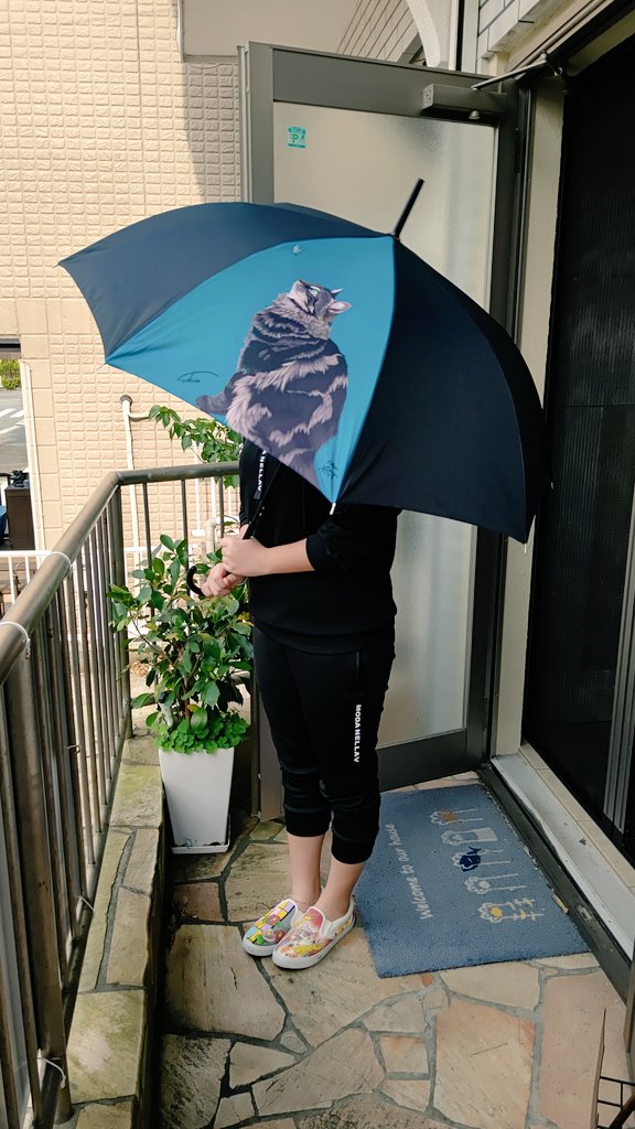 動物病院 Cafe 長傘 5000円 お申し込み今日まで 折りたたみ傘 4000円 在庫残り13本で終売 カーサンシェード 30円 残り32枚 風呂敷 中判 3000円 残り枚 全て税込み 送料別 支払手数料別 ご希望の品を指定して リプライもしくはdmにてお