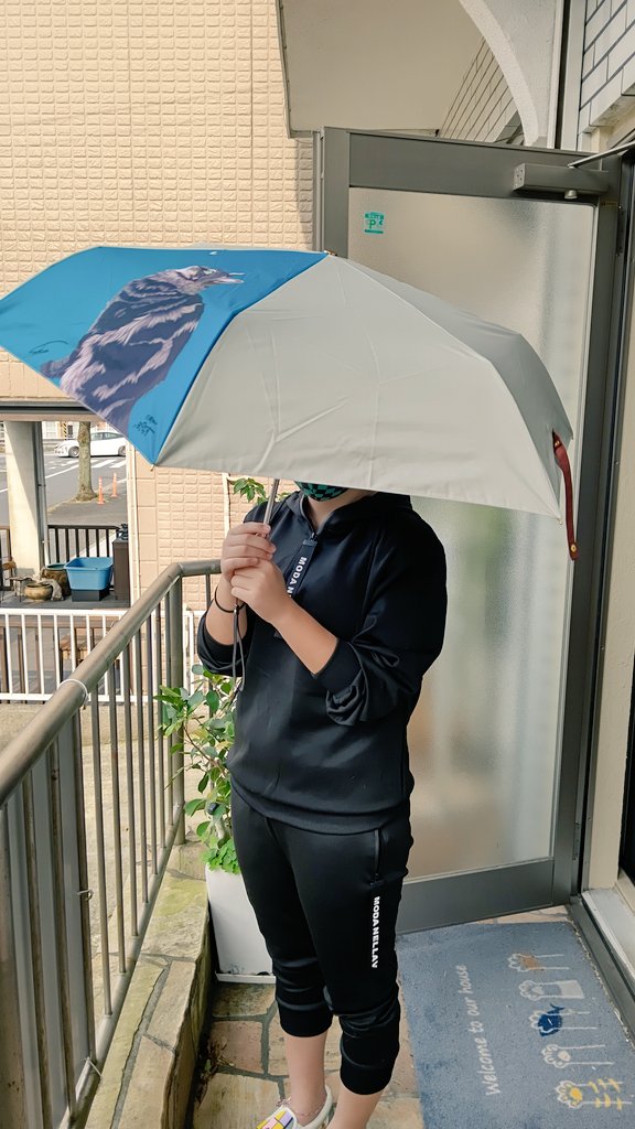 動物病院 Cafe 長傘 5000円 お申し込み今日まで 折りたたみ傘 4000円 在庫残り13本で終売 カーサンシェード 30円 残り32枚 風呂敷 中判 3000円 残り枚 全て税込み 送料別 支払手数料別 ご希望の品を指定して リプライもしくはdmにてお