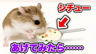 ハムスターのtwitterイラスト検索結果 ハムスターのtwitterイラスト検索結果