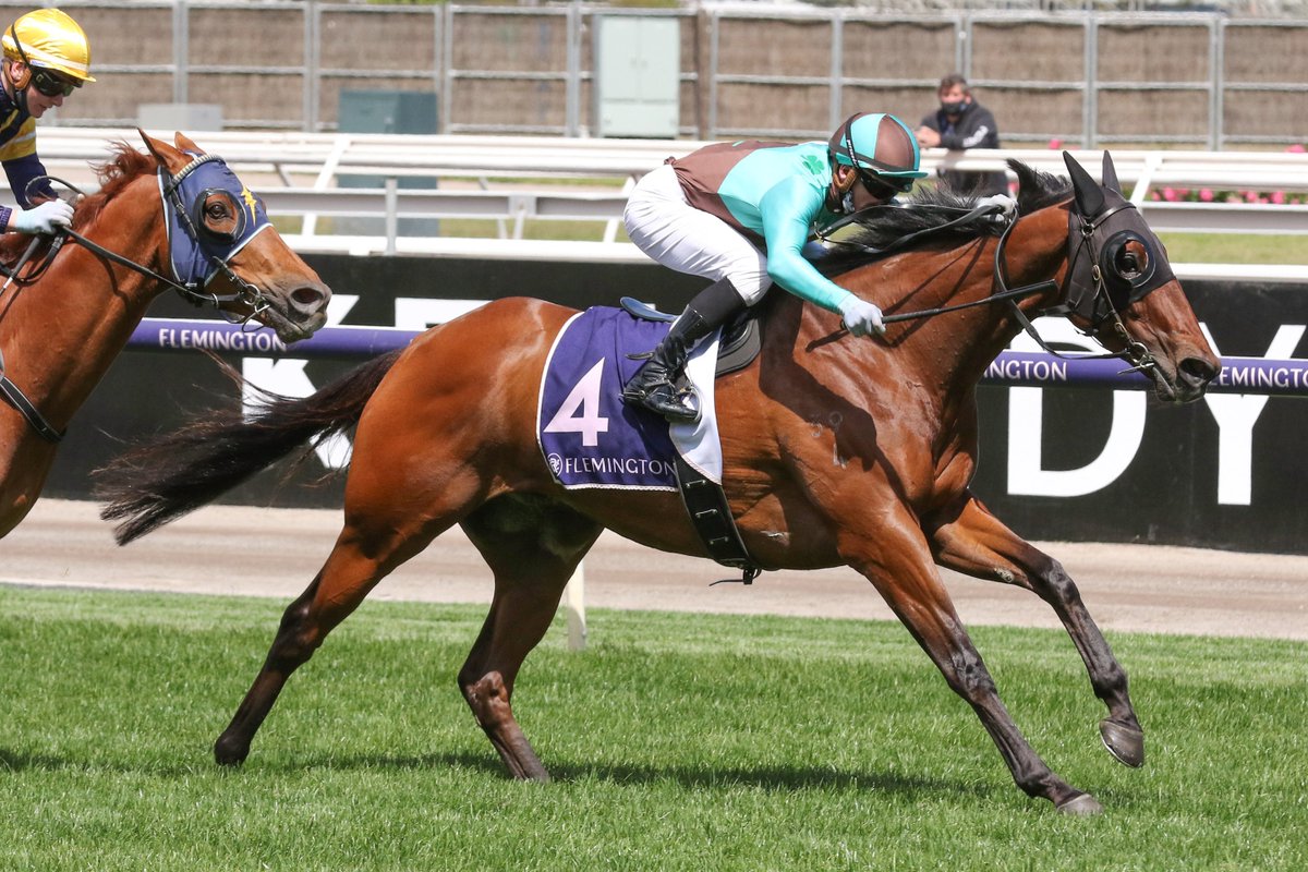 nzracingnews's tweet photo. #IrishFlame is putting together a strong Australian formline for @BScott_Racing since arriving from John Wheeler's stable and posted his second win since crossing the Tasman in Thursday's Twitter Trophy at Flemington
https://t.co/azbM01cuYm https://t.co/UN63LhUSM6