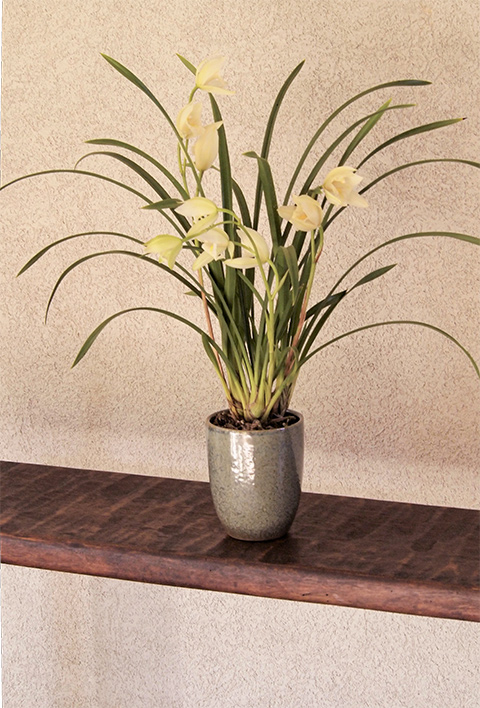 花ほうろ Pa Twitter 香りを楽しむ 和蘭 明るい室内 暖かい日がもっとも 良い香りが楽しめると こちらは 秋霞 という品種 本当に 良い香り 和蘭 花ほうろ 秋霞 T Co 7hiakxng30 Twitter