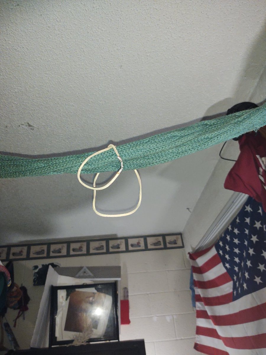 Brandon Blake Booker1 tweet media