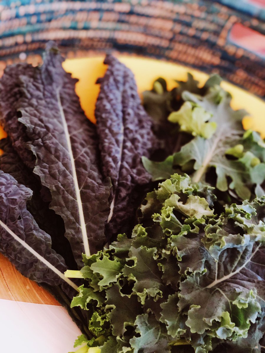 95% less water and pesticides... Thank you @VeggiTech for the gorgeous farm fresh organic kale! #kale #vegetarian #organic #agrotech