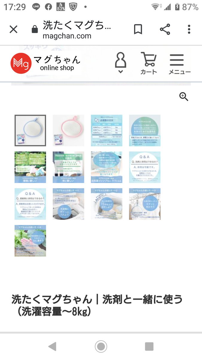 マグネ フルホルメン