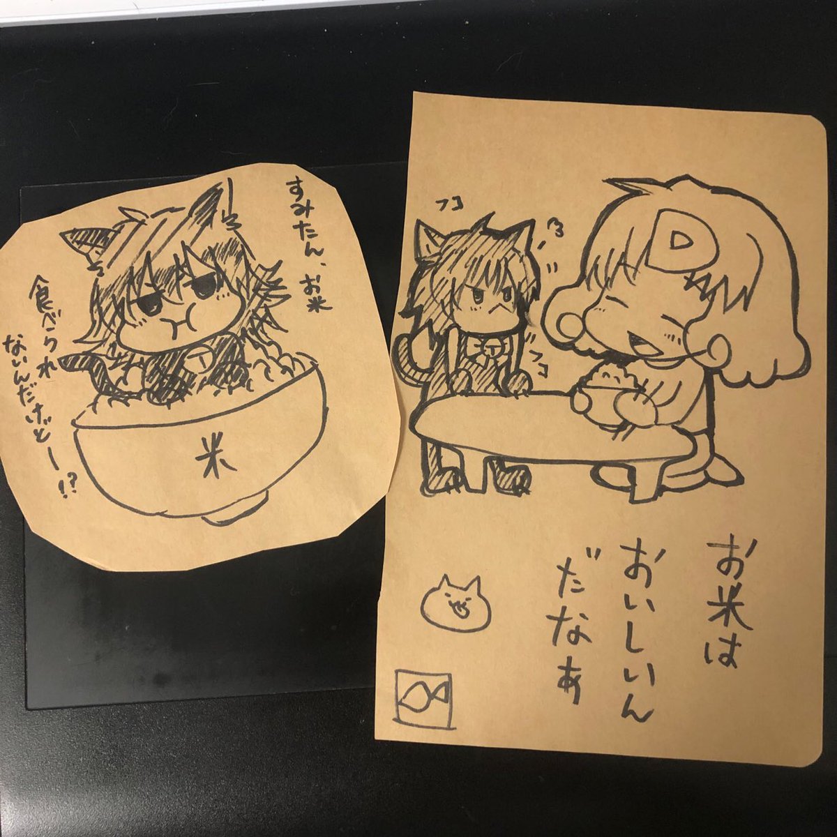 お友達の鯖ちゃんが美味しいお米をお裾分けしてくれました!嬉しい!しかも私と墨たんの可愛いイラストまで入れてくれた!ありがとう〜!??✨ 