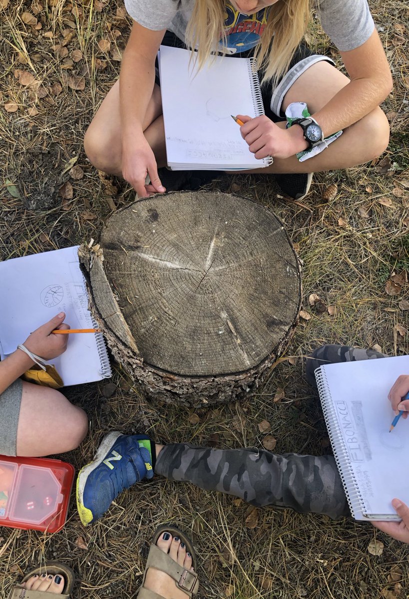 glendale_belin's tweet image. Finding Fibonacci! Today we searched for evidence of Fibonacci numbers within our very own Courage Garden and Alberta Wilds! 🌱🌸🍁🌼
#FibonacciFun
#mightymathematicians
@glendale_bode