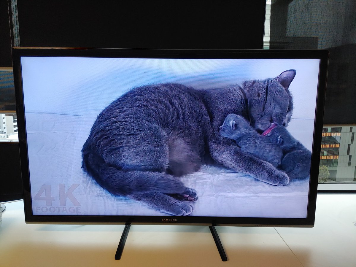 NickRossTech's tweet photo. For those who can't handle any more @foxnews there's a 10hrs of kittens channel on YouTube #mindbleach #earbleach https://t.co/IPWIXCg1a4