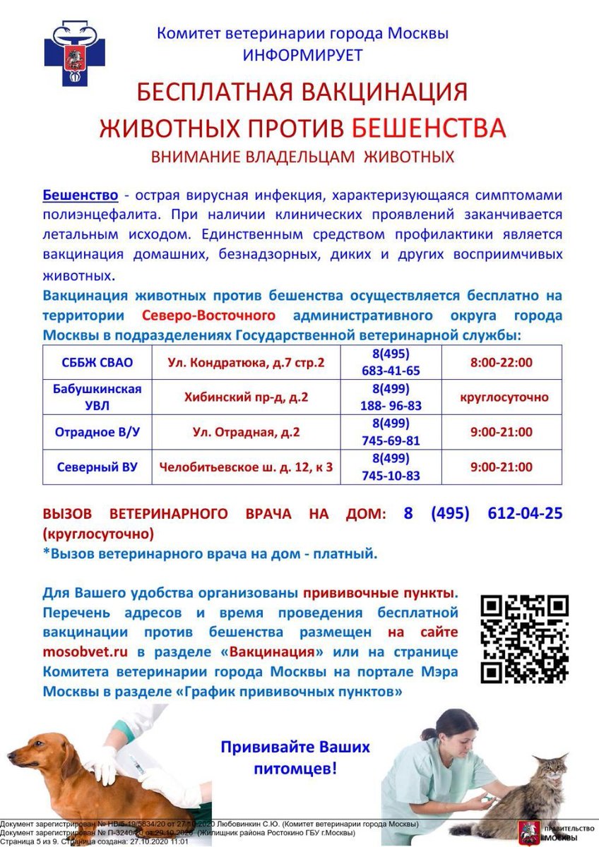бесплатная вакцинация от бешенства. бешенство вакцинация животных. вакцинация собак и кошек против бешенства. вакцинация животных правила. выездная вакцинация против бешенства.