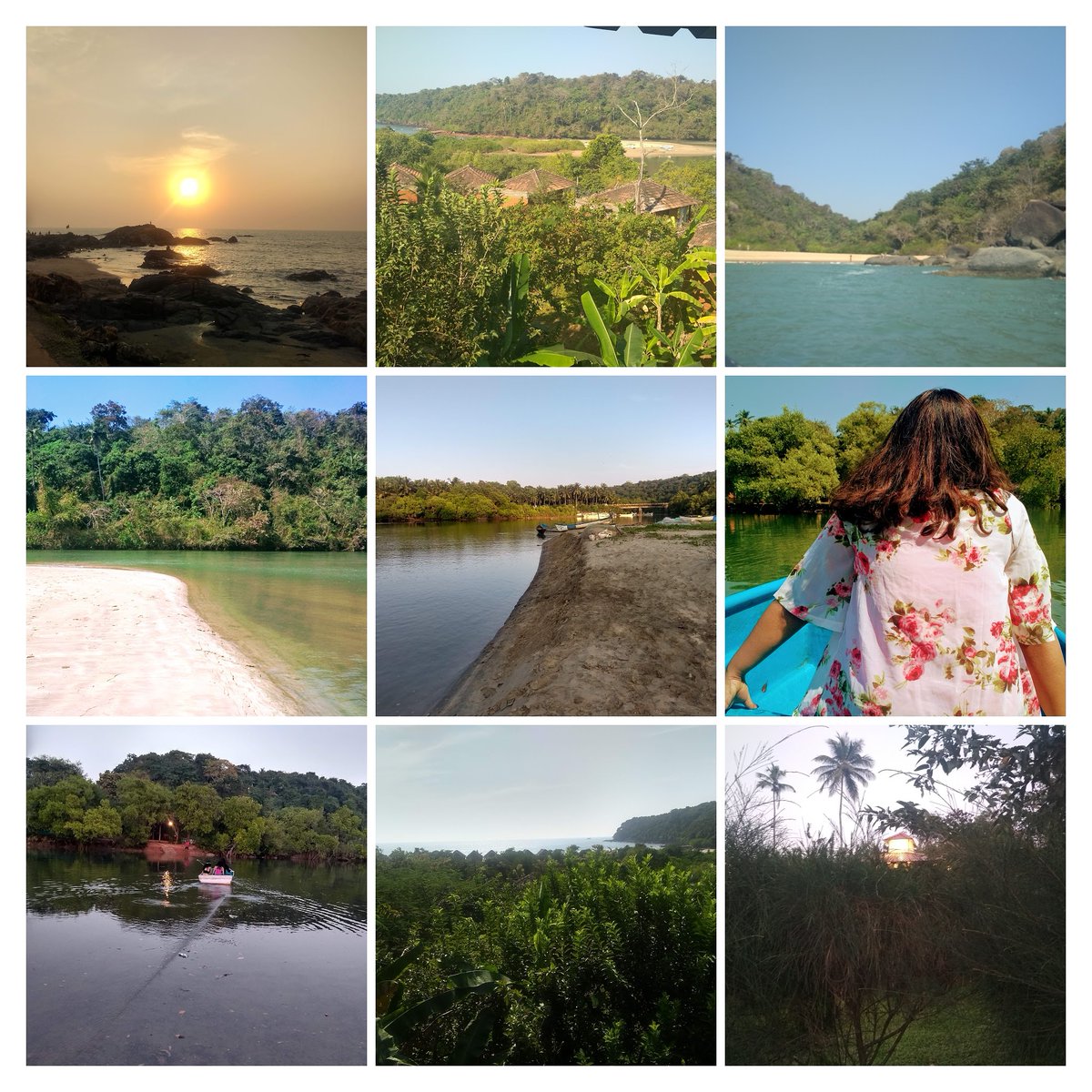 aarthyvenkat's tweet photo. Goa is second home, not because of party or beaches, but because of the vibe,the perfect combination of green and blue  Goa offers.
Without the green, blue is incomplete.
So fight for the green.
Fight for the soul of Goa.
Fight for our home.
 #SaveMollemGoa https://t.co/xBrFGFZHGF