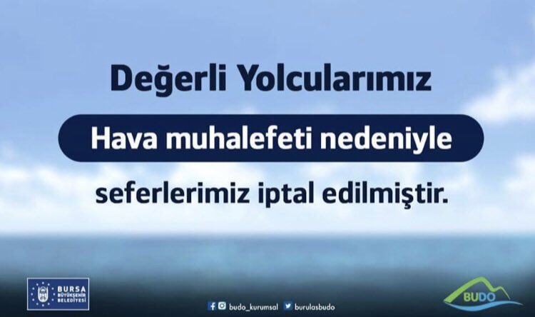 BUDO tweet media