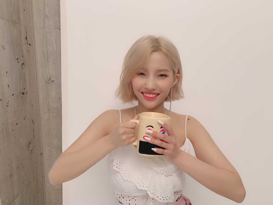 WERGIDLE's tweet photo. 🎧◞ ¡! .⃗ . (𝔾)𝕀-𝔻𝕃𝔼 : 𝗽𝗹𝗮𝘆𝗹𝗶𝘀𝘁 . .⃕ . 𝐒𝐨𝐲𝐞𝐨𝐧 𝐮𝐩𝐝𝐚𝐭𝐞
Mi tacita y yo andamos super high ya que #B7SDYNAMITE de los guapos de #BLOSSOMS me mantiene así. ¿Qué esperan que nos escuchan dynamite? No se van a arrepentir, es promesa de garrita. 😼🤝 https://t.co/AHLPK2c4fL