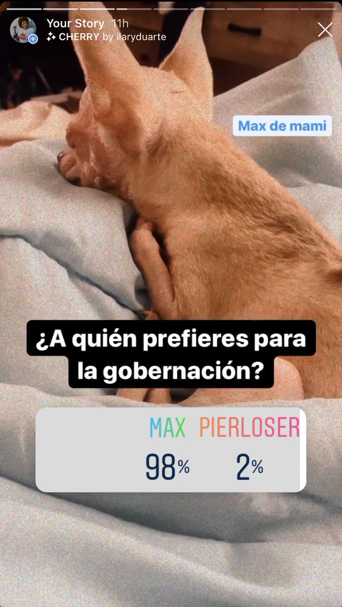ladelafro's tweet photo. Hice un poll preguntando: ¿A quién prefieres como gobernador? Entre mi chihuahua y Pierloser....los resultados son prometedores pero, claramente hay 7 personas que debo bloquear. #Max2020 https://t.co/YoGOQeHvBO