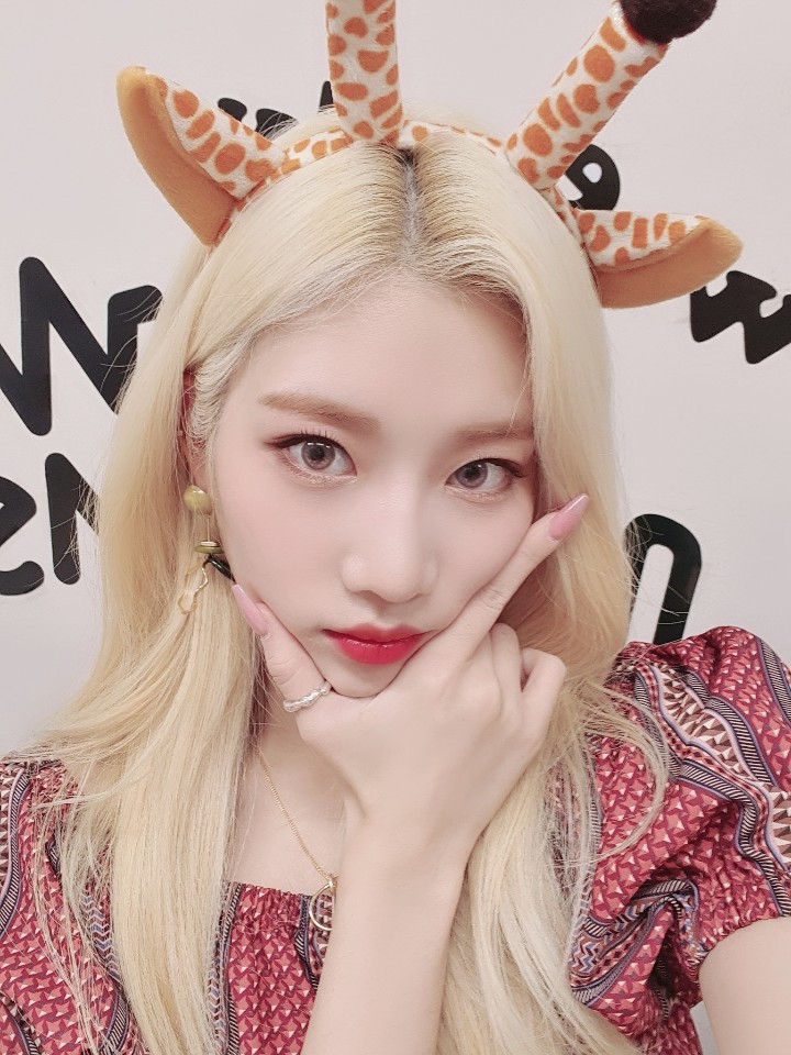 factinstar's tweet photo. [팩트iN스타] #이달의소녀 #LOONA
띵동~ 오빛을 위한 초대장 도착💌
이달의 소녀 미드나잇 페스티벌에 초대합니다🎉
🌠일시 : 11월 6일 (금) 저녁 9시✨ 
🌌장소 : 팩트인스타 공식 유튜브❣️
주문을 외워보자 Yolo-lo~멋진 이 밤이 만들 Tomorrow🎵

#비비 #김립 
@loonatheworld #Midnight #Why_Not https://t.co/K4paCXHaqT