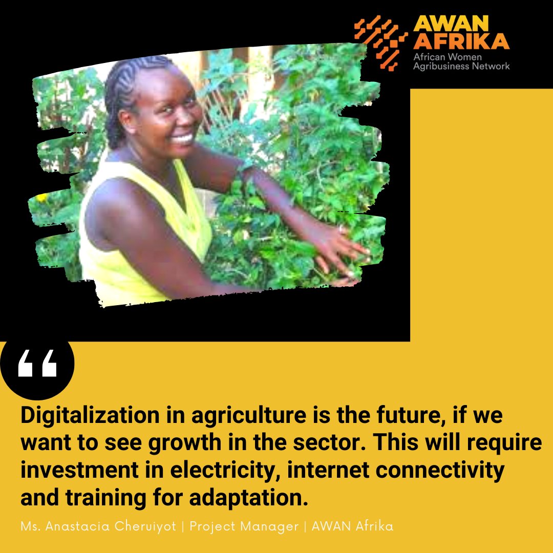 Awan_Afrika's tweet photo. INVESTMENT in enabling RURAL WOMEN to engage on the DIGITAL SPACE, will determine the FUTURE of AGRICULTURE in AFRICA.

@USIU_SIMELab 
@USEmbassyKenya 
@pkanyiw 
#ruralwomen
#WomenInAg
@bgakuba_gakuba
@JosefaSacko
@_AfricanUnion
@unwomenafrica
@FAOAfrica 
@AnastaciaCheru2 https://t.co/oJfkqclfyu