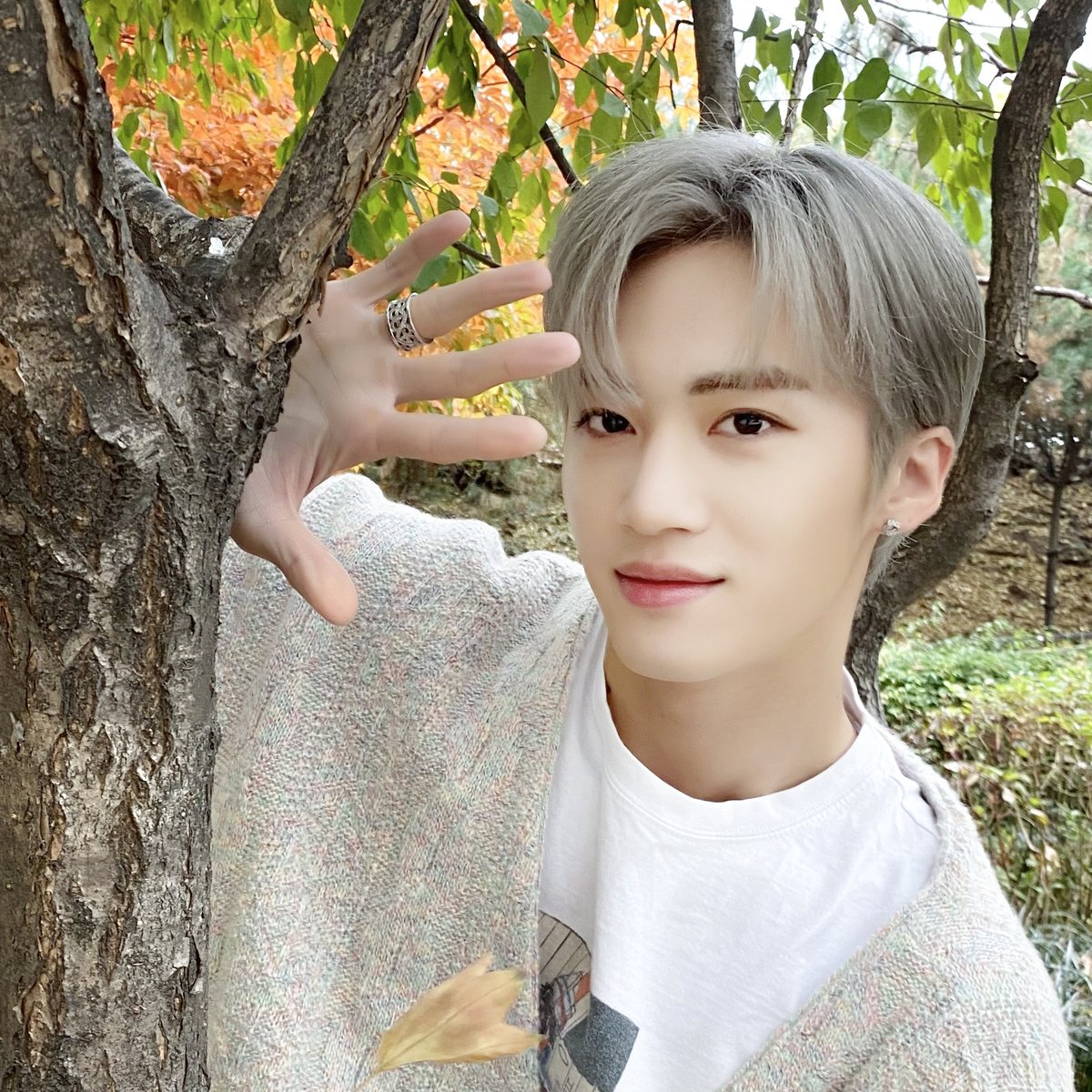 CUBETV_ihq's tweet photo. 🌿D-5🌿

2020.11.10. (TUE)
Coming soon!

#큐브TV #큐브티비 
#포레스트_WETH_펜타곤 #포레스트위드펜타곤 
#펜타곤 #PENTAGON https://t.co/JQWpIzH1Lh