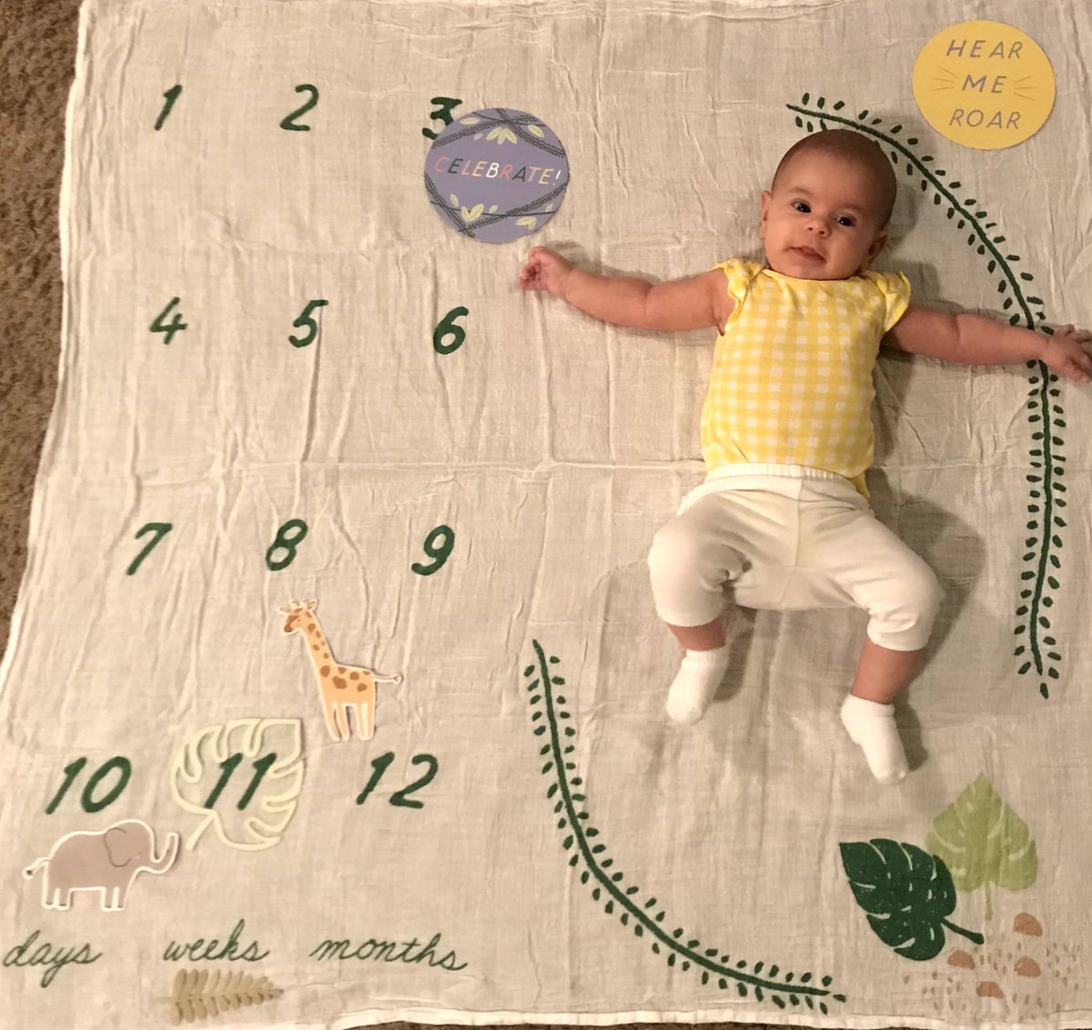 HunterLynn23's tweet photo. Sweet sunshine baby is already 11 weeks old ❤️😭 https://t.co/Nn1nDtBgqJ