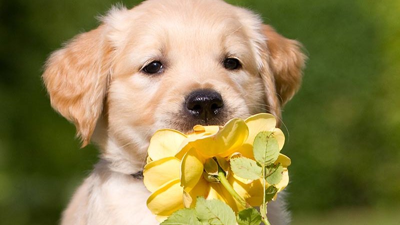 GayleRobinson42's tweet photo. Cuteness Overload! https://t.co/SZxHgLIaHe
