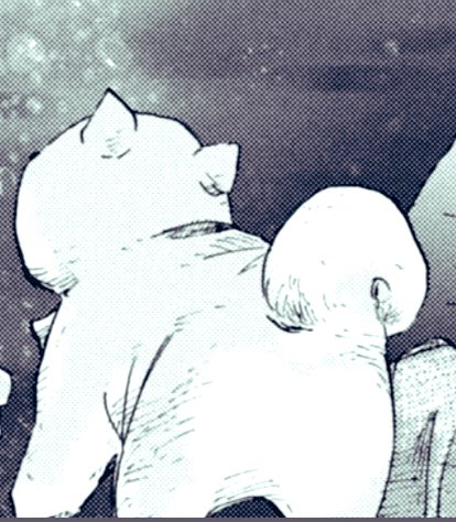 皆様、今日もお疲れ様です?
豆柴太の可愛いお尻?をどうぞ〜?✨

現代ビジネス【毎週木曜更新】
5歩目後編
「豆柴太、ダイブする」
https://t.co/lm56iCqcVB

#津波防災の日
#柴犬
5歩目前編
「豆柴太、ダイブする」
https://t.co/ygqmHCnUrM 