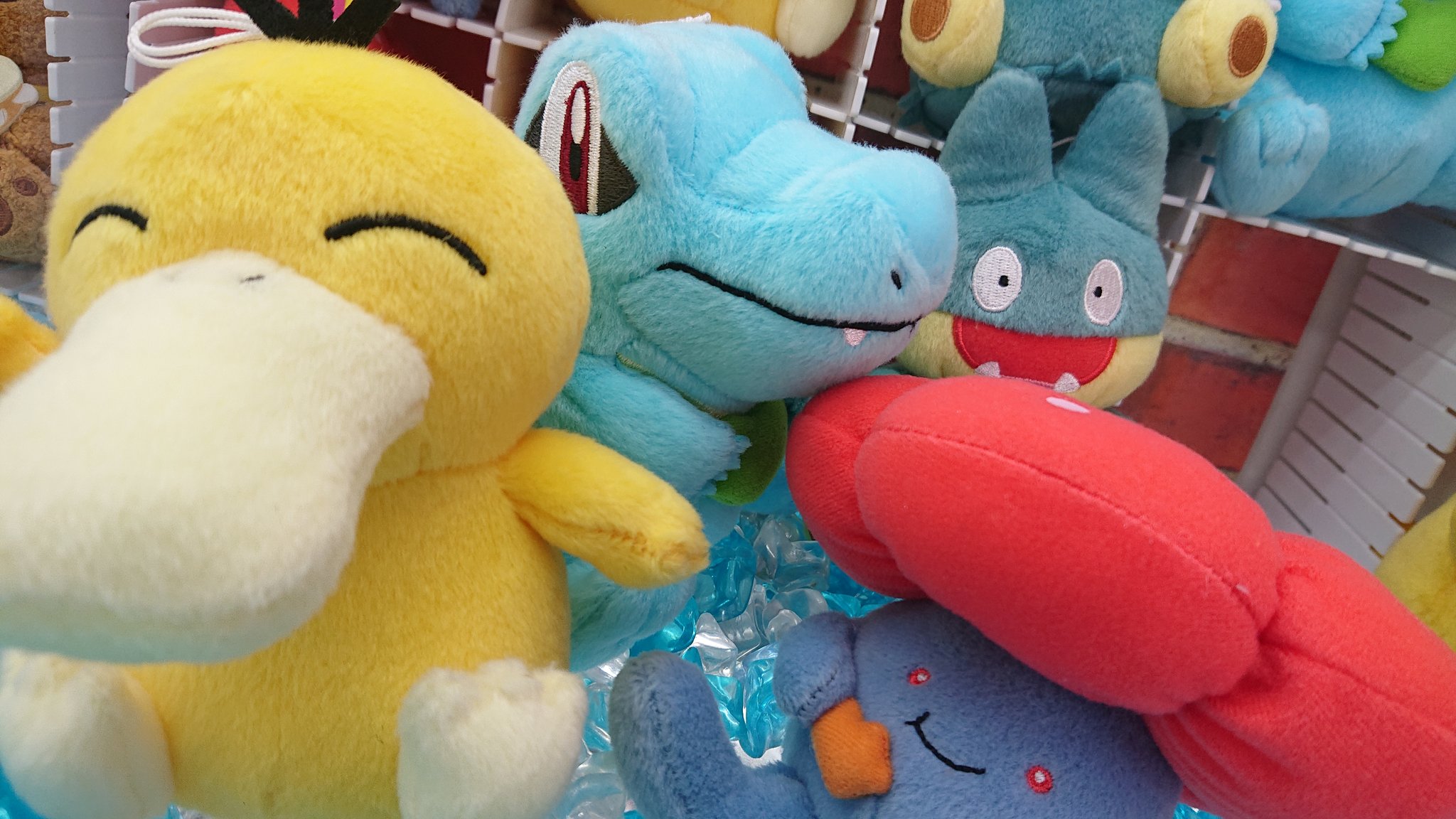 تويتر ドラマ下北沢 プライズ専門店 على تويتر ポケットモンスターもぐもぐタイムぬいぐるみ ラフレシア コダック ワニノコ ゴンベ 本日入荷 ポケットモンスター ラフレシア コダック ワニノコ ゴンベ ぬいぐるみ 下北沢 ゲーセン T Co