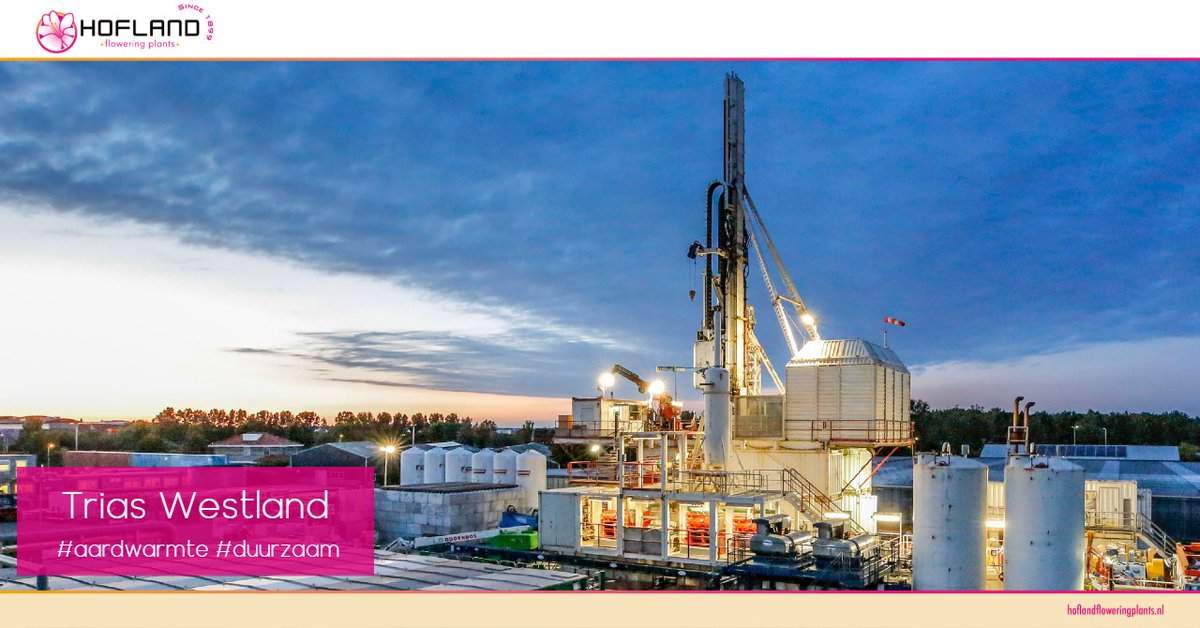 Wisten jullie dat wij per #jaar 18,2 #megawatt (MW) aan #aardwarmte #gebruiken? Dat is het #verbruik van ruim 6.000 #wasmachines bij elkaar. #Trias #duurzaam #aardwarmte #Schlumbergera #plant #weetje 📷: Carel Kramer