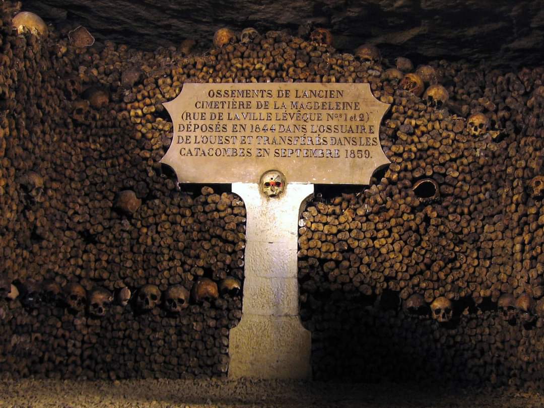 KiteTours's tweet photo. Would you dare to travel the most dangerous place in City of Love Paris?
.
Catacombs of Paris an Underground tunnel which had more than a million people's skeletons from the Eiteenth century.
#France https://t.co/wFPC4yYqvX