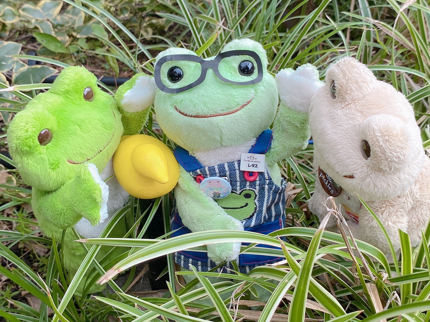 PSA10 Disney Loracnaかわいいアヒルの子 #216 3219 PSA10 Disney Loracnaかわいいアヒルの子 #216 3219 La Villa de