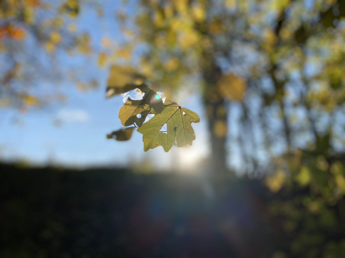 Guten Morgen liebe Welt.
Auch die Wolken halten sich an die aktuellen Regeln zu Abstand und Versammlung. Kühl sind Nacht und Morgen daher und tags zeigt sich die Sonne warm. Dazu die bunten Farben. Herrlich!

Euch allen einen entspannten Tag voller
Lächeln, Lachen, Leben.
☕️☀️🍀