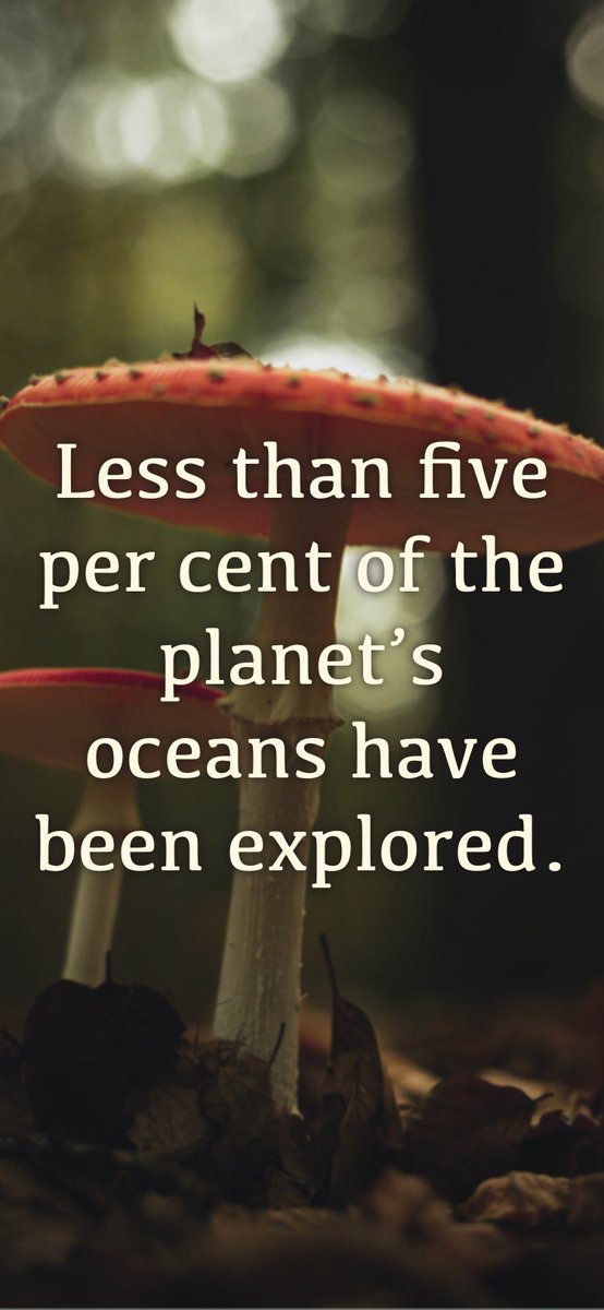 Redheadwytch's tweet image. #RandomFactOfTheDay