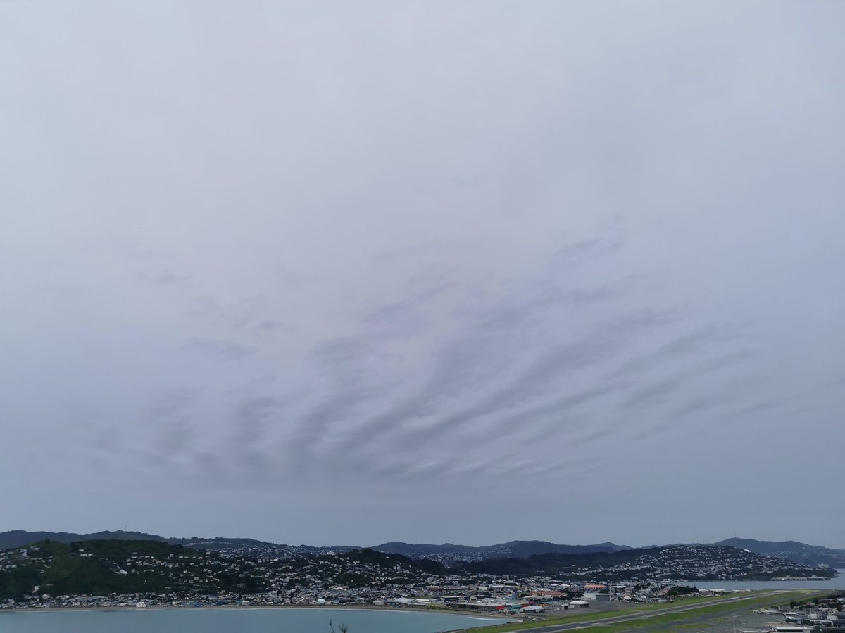 WildBayNZ's tweet photo. How the next to no wind slowly distorts the rippled clouds over Wellington's Airport tonight.
#Clouds #MoaPoint #WellingtonAirport https://t.co/rOEBxVyMwq