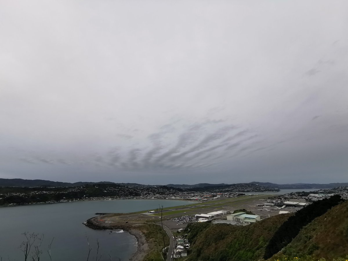 WildBayNZ's tweet photo. How the next to no wind slowly distorts the rippled clouds over Wellington's Airport tonight.
#Clouds #MoaPoint #WellingtonAirport https://t.co/rOEBxVyMwq
