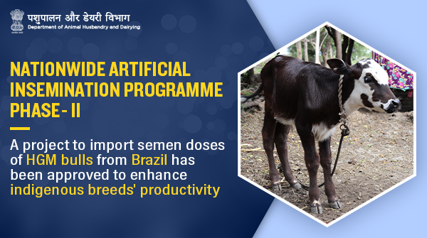Dept_of_AHD's tweet photo. Under Nationwide Artificial Insemination Programme Phase II, the approved project will enhance genetic variability among #RedSindhi #CattleBreed in #NewIndia & increase availability of high genetic merit #bulls for semen production.
#AnimalWealth #Innovation #Unite2FightCorona https://t.co/giXrn6bMV2