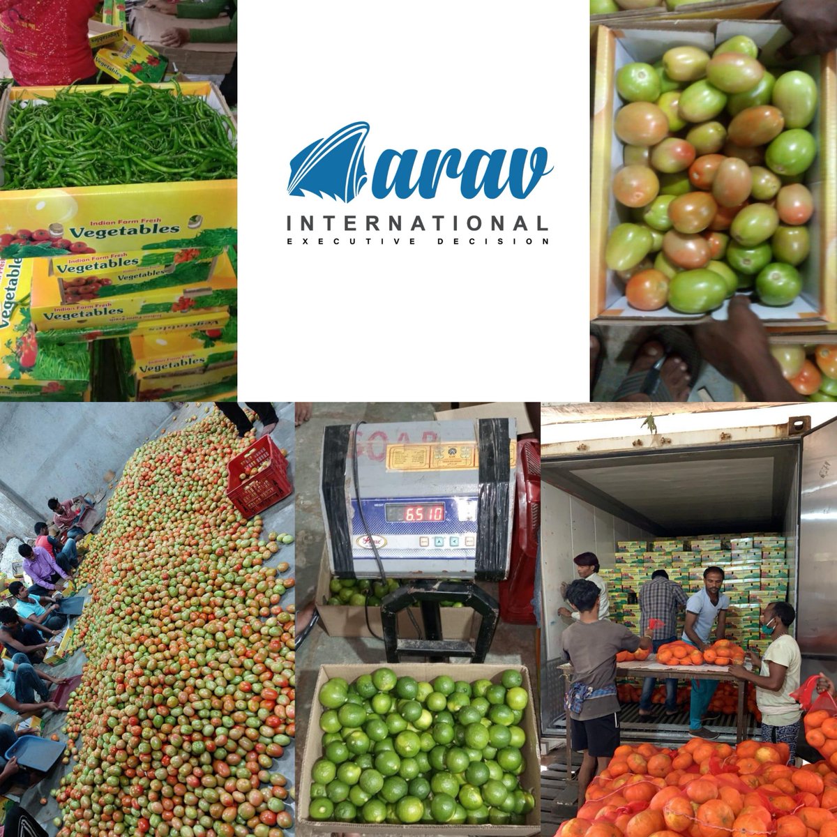 AaravInternati1's tweet photo. #Aarav International #MixVegetableContainer #packing #loading
#G4GreenChilli #Lemon #Redpumpkin #Ginger #Tomato
#export #Dubai#QualityGuarantee#exportpackhouse  🍅🎃🌶🍋 https://t.co/Tr60naQRZH