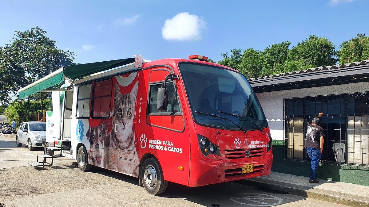 Avanza el programa de Sisbén para Perros y Gatos dlvr.it/Rl21g5