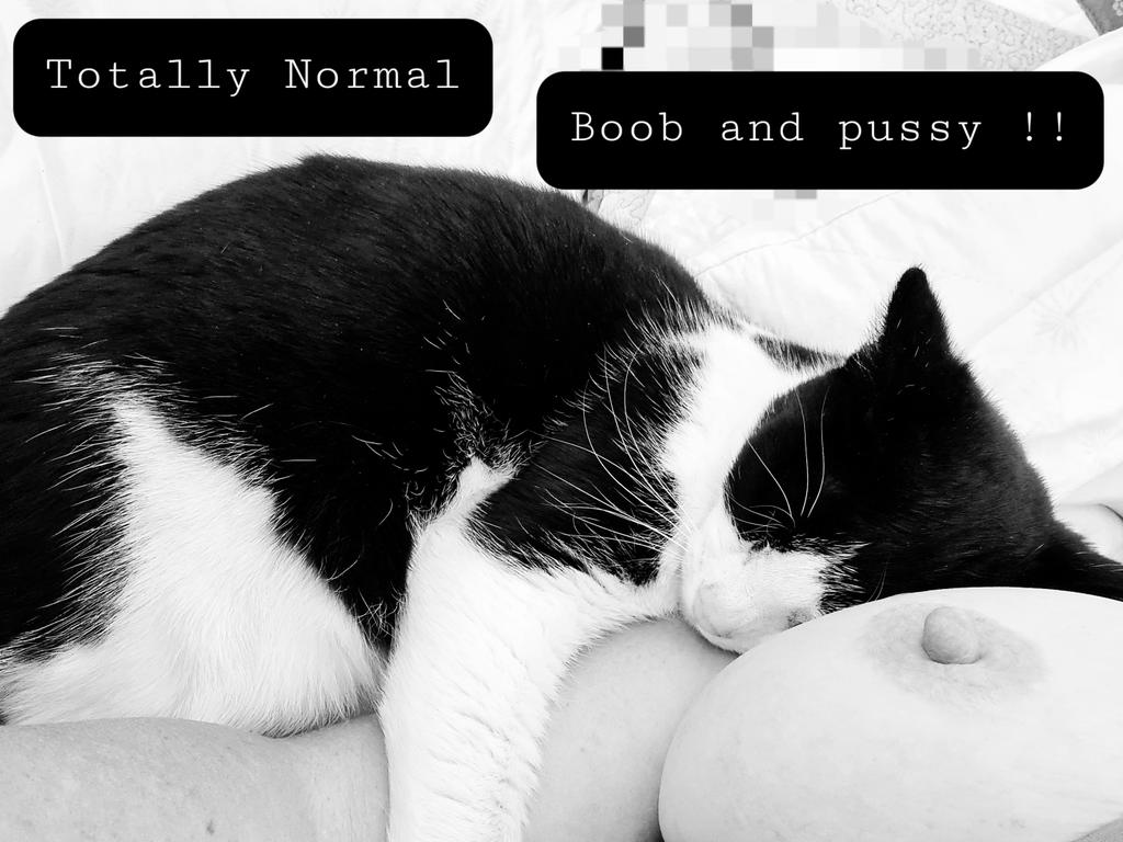 TotallyNormal6's tweet image. #Spring has sprung and the place is #thriving  while #summer heats up round the corner.