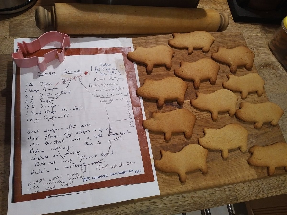 thepolicynerd's tweet photo. It's that time of year! Happy to be sharing Yorkshire tradition with my children using my Gran's recipe and rolling pin (still to inherit the pig cutter!) #parkinpigs #plotnight #socialhistory https://t.co/V8slp133AF