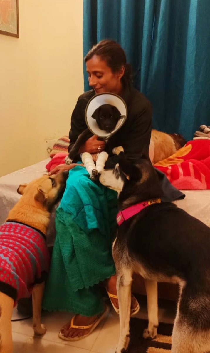 TheDogMother_'s tweet photo. Daughters are someone you laugh with, dream with, and love with all your heart ❤
New addition to the family, Chi #TheLifeForce with #beingsugar and #thecrazychristie ❣

@SmartSanctuary #secondchancedogs
#dogsoftwitter #AdoptDontShop https://t.co/GYSLkF5zXy