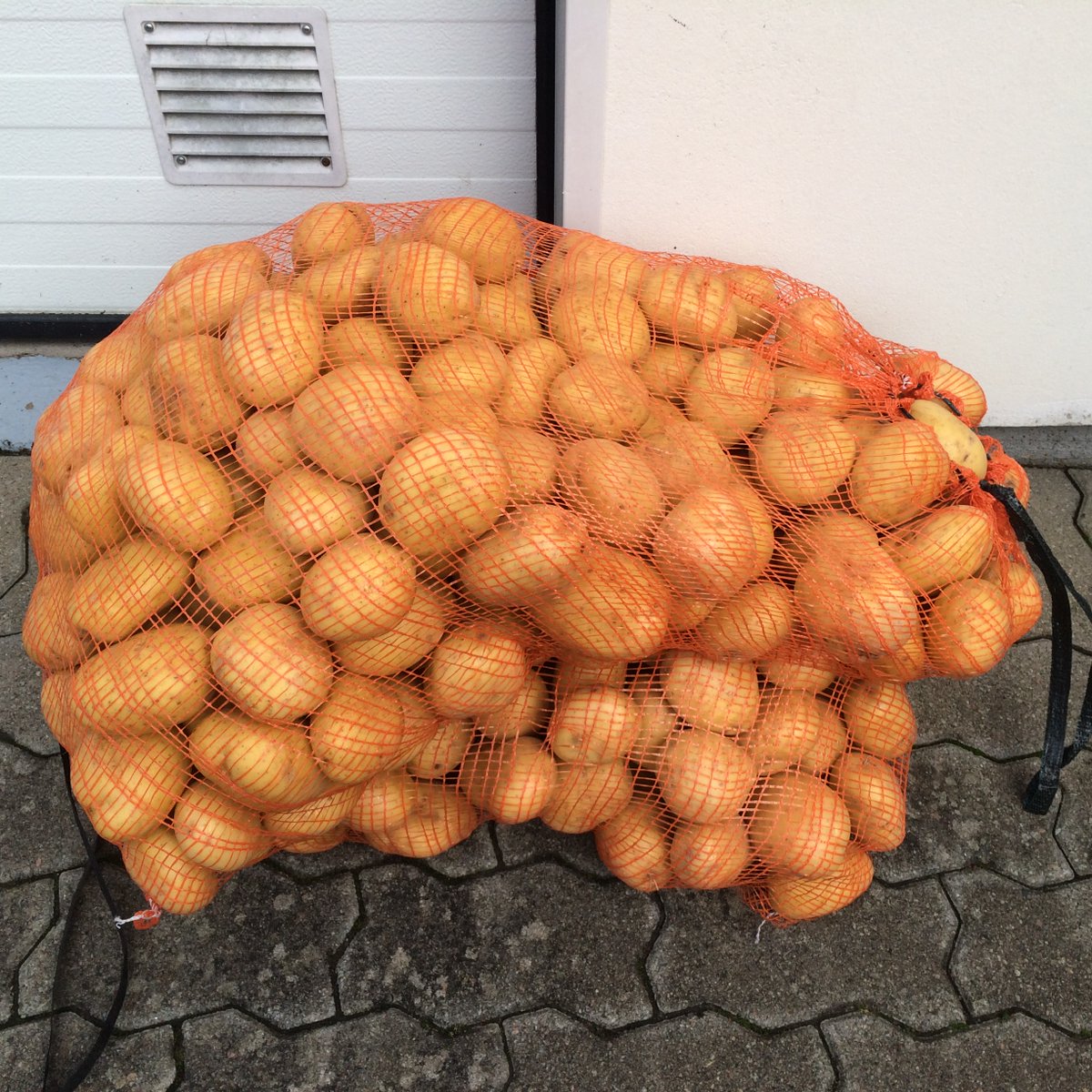 elefantholken's tweet image. Oväntat besök från fru bonde! elefantholken.se/prepping/ovant… #prepping #potatis