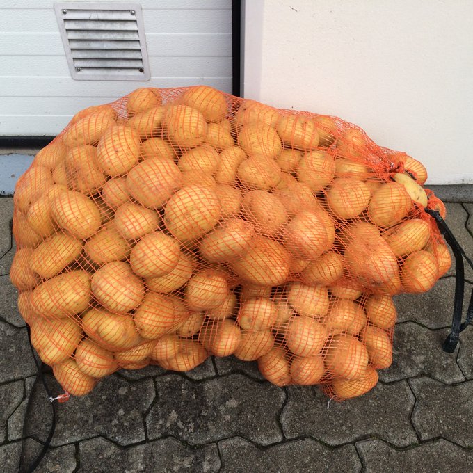 Två säckar med potatis från bonden på 50 kg