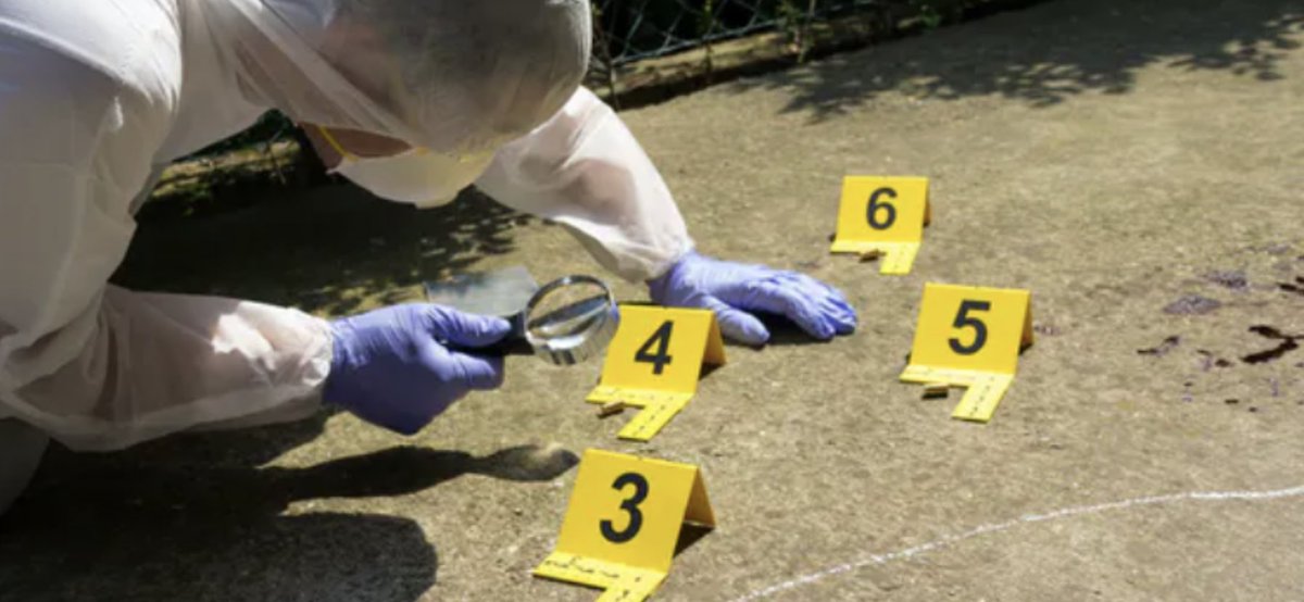 ForensicWW's tweet photo. #Apprenticeship

Nottinghamshire Police

Role - Apprentice Level 3- EMSOU Crime Scene Investigation

https://t.co/yaa9OqBDAz https://t.co/u8jeqZJwGO