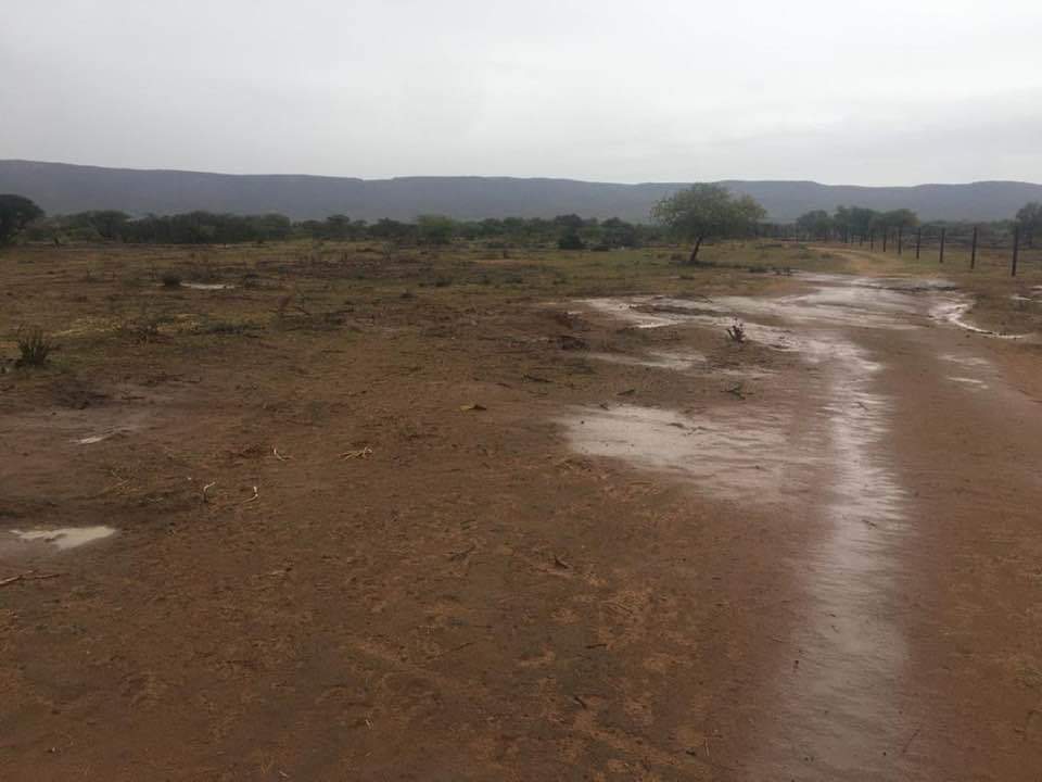 hamptonsjazzbw1's tweet photo. ..When rain clouds gather...Views towards BW Table Mountain 🤔😂. Let it rain &amp; fill the river! Pula!! 

#LifeBeginnings
#HamptonsFarm https://t.co/n4xGn8iDMK
