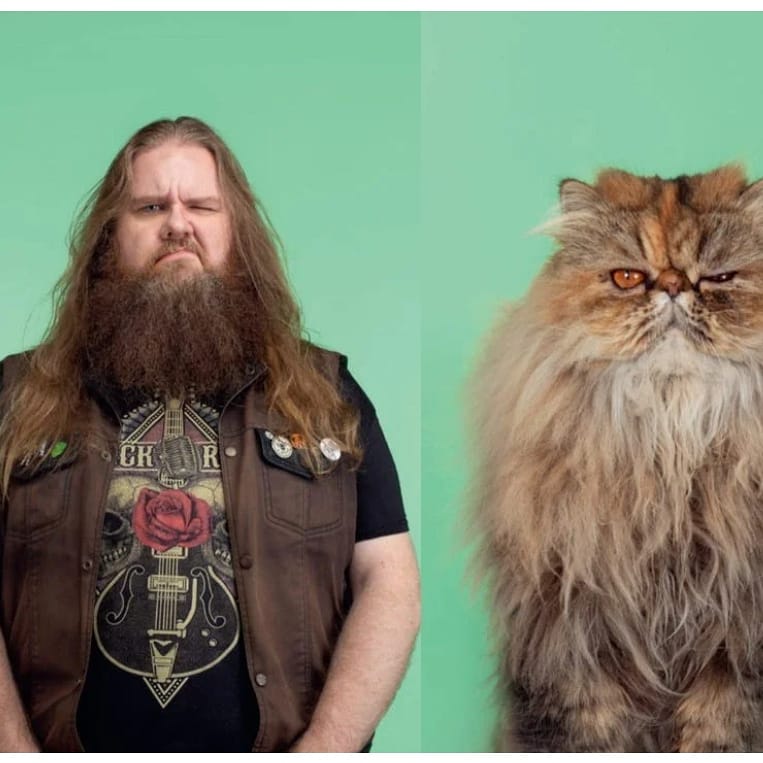Thelastmeow1's tweet photo. Cats and Owners

#cat #cats #catsofinstagram #catstagram #catlover #catoftheday #catsagram #catlovers  #Cathedral #catwalk #catlove #Catholic #catlife #caturday #catsofig #catlady #catania  #cateyes #catslover #catgram #cateye #catsandowners #cattwins https://t.co/7tvLRFPpHQ